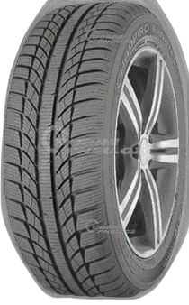 GT Radial Champiro WinterPro