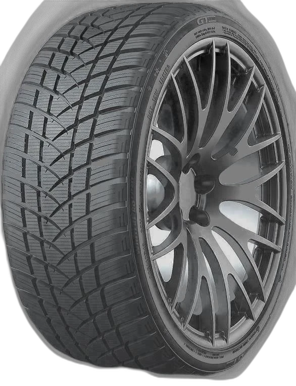 Gt Radial Winter Pro 2 Sport 