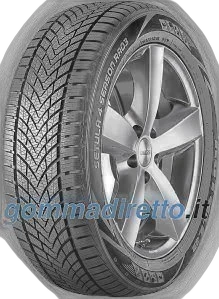 Rotalla Setula 4 Season RA03