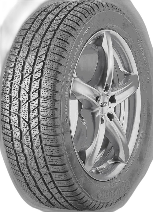 Continental Contiwintercontact Ts830P 