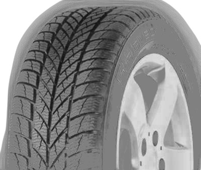 Gislaved Euro Frost 5